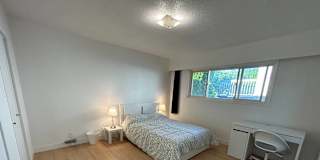 Photo of Shirin's room