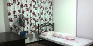 Photo of LIm YX's room