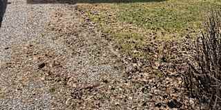 Photo of William black's room