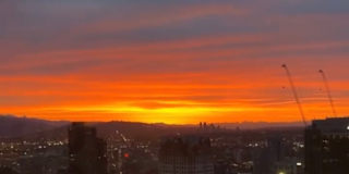 Photo of Bindy's room