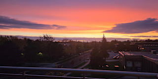 Photo of Sherry maraj's room