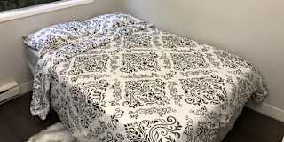 Photo of amine riad's room