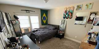 Photo of Miquelle's room
