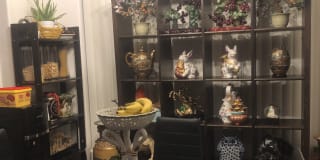 Photo of Sally's room
