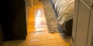 Photo of Polly's room