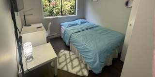 Photo of Ozzy's room