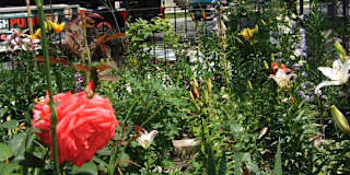 Photo of wayne's room