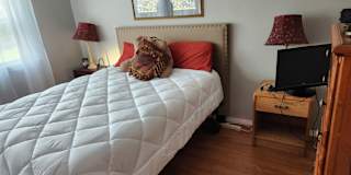 Photo of Earl's room