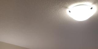 Photo of Shaheen's room