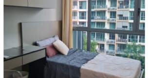 Photo of Audrey Tan's room