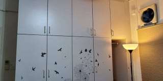 Photo of Leo's room