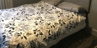 Photo of Shawna Morris's room