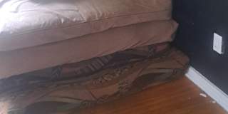 Photo of Suzanne Marquis's room