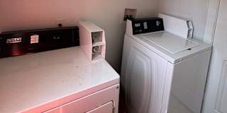 Photo of Purplehouse's room