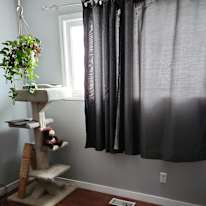Photo of Sheila Mills's room