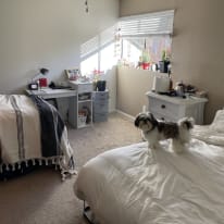 Photo of Stef's room