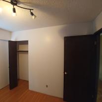 Photo of Dino's room