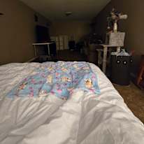 Photo of Madison's room