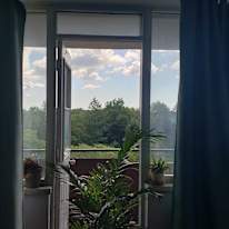 Photo of Arc's room