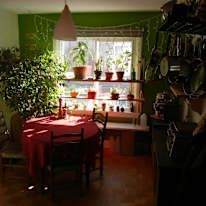 Photo of Experimental Farm's room