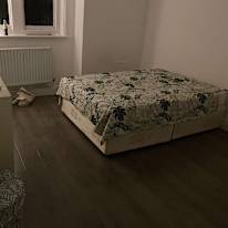 Photo of Charlotte's room