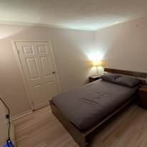 Alejandro Leal's room