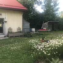 Photo of Dianne's room