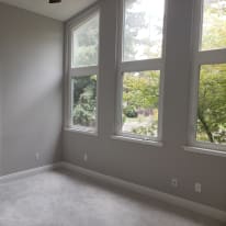 Photo of Ann P's room