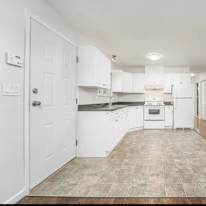 Photo of Walkout basement's room