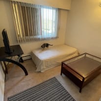 Photo of Codi Johnson's room
