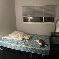 Photo of Colette's room