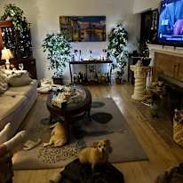Photo of Jesse Alberto's room