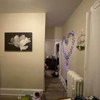 Photo of Amina's room