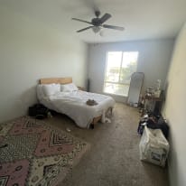 Photo of zoe's room