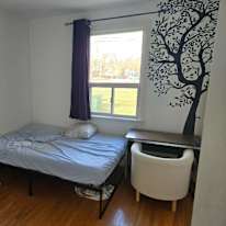 Photo of Petra's room