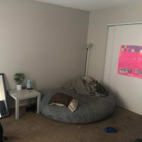 Photo of Marlo's room