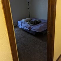 Photo of adam's room