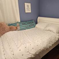 Photo of Dan Muccio's room