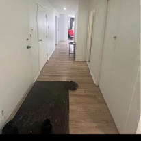 Photo of Safia Desrosiers's room