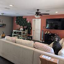 Photo of Abigail's room