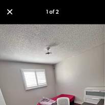 Photo of Mona's room