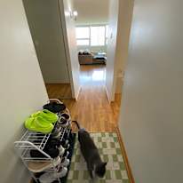 Photo of Justine's room