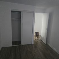 Photo of Will's room