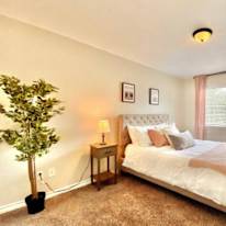 Photo of Elegant Vista's room