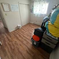 Photo of Frankia's room