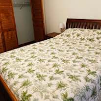 Photo of Renter's room