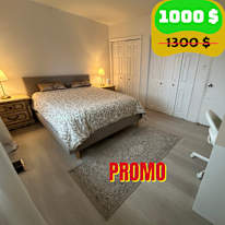 Photo of Shirin's room
