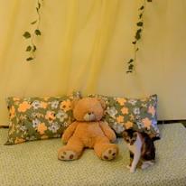 Photo of Kubra's room