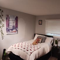 Photo of franklyn's room