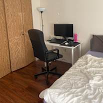 Photo of Nishtha's room
